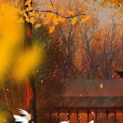 神武皇图手机版(暂未上线)v1.01 安卓官方版